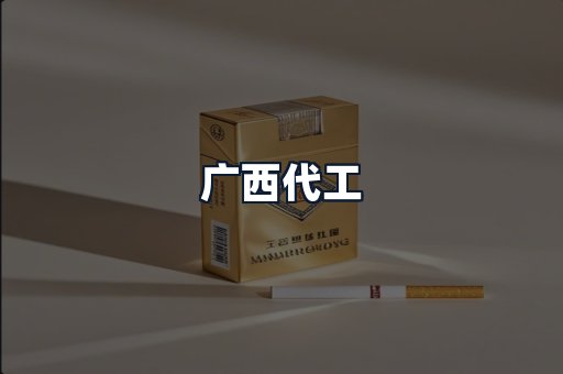 广西代工